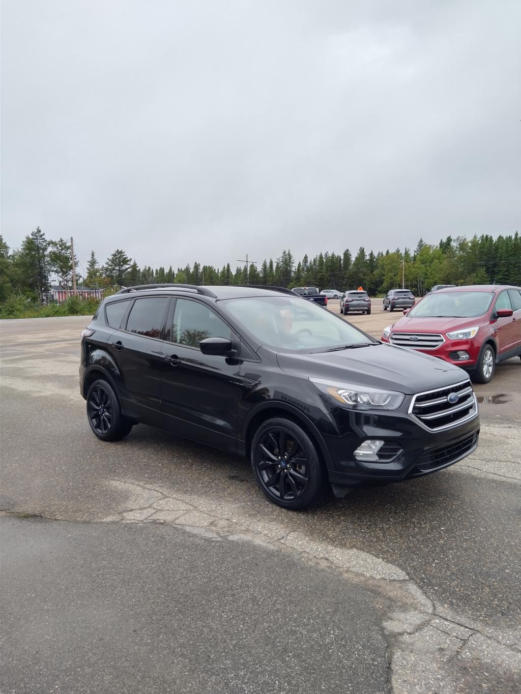 2018 Ford Escape Se AWD 1.5l for sale 2018
Ford
Escape Se AWD 1.5l